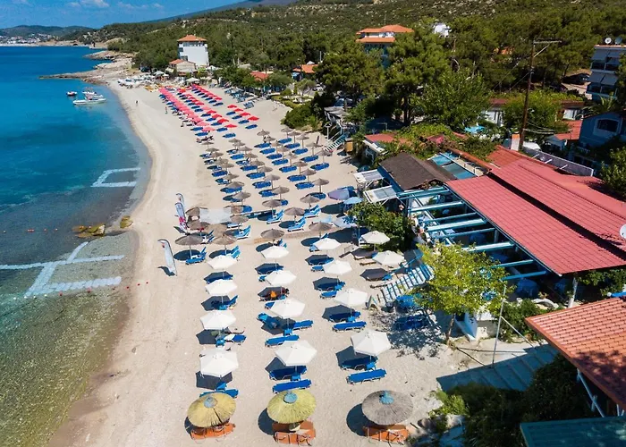 Velvet Thassos