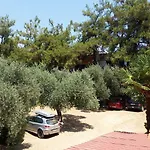 Отель Velvet Thassos Пефкари